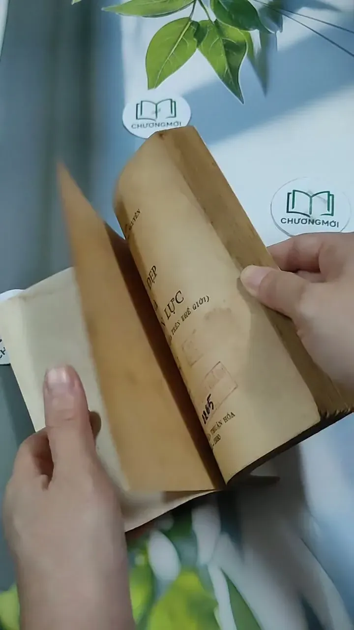 [MIỄN PHÍ BỌC SÁCH] Sắc Đẹp Và Quyền Lực Của Những Bà Hoàng Trên Thế Giới (24 Người Phụ N 713861