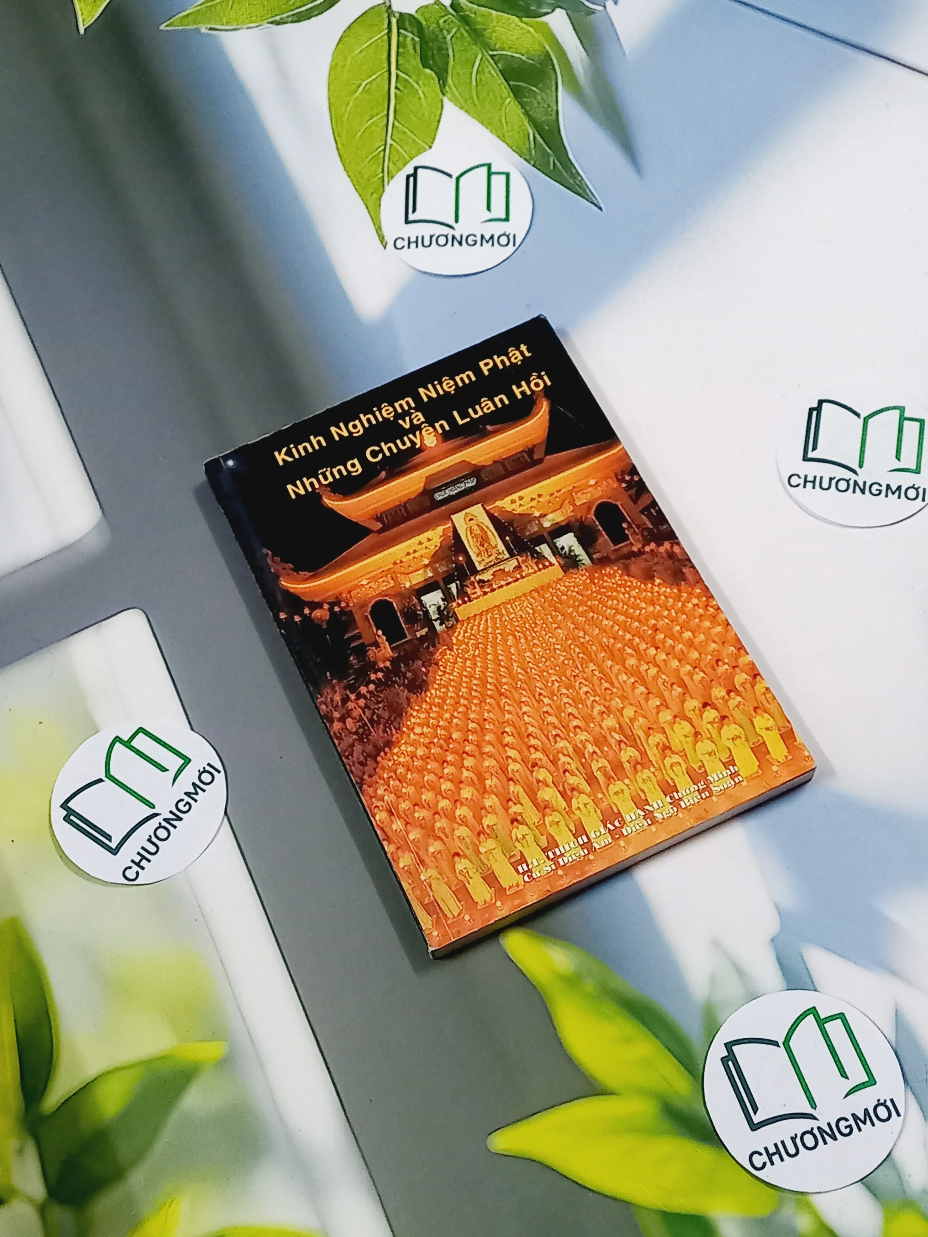 Kinh Nghiệm Niệm Phật Và Những Chuyện Luân Hồi - Cư Sĩ Diệu Âm - Diệu Ngộ