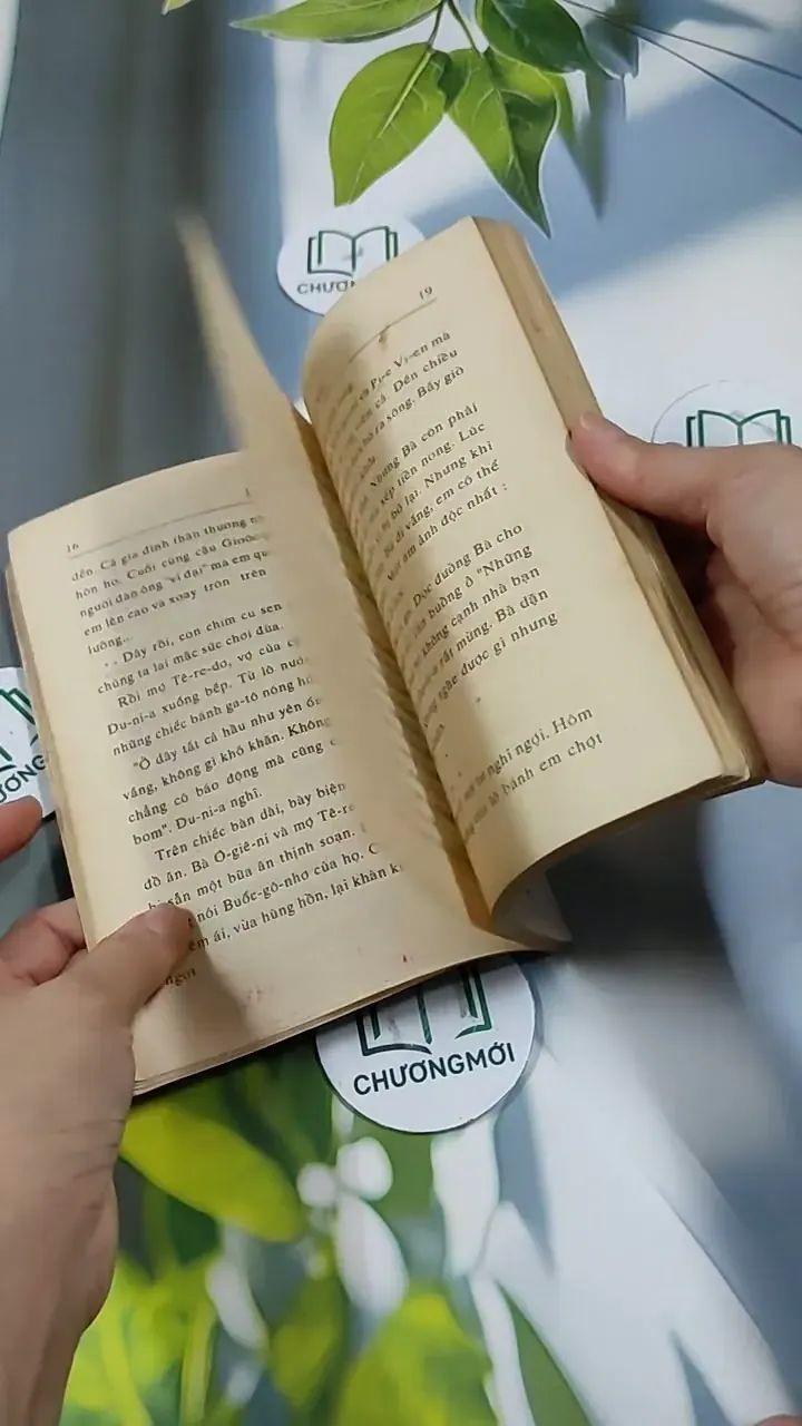 Lửa Hồng - Rolande Cause 713851