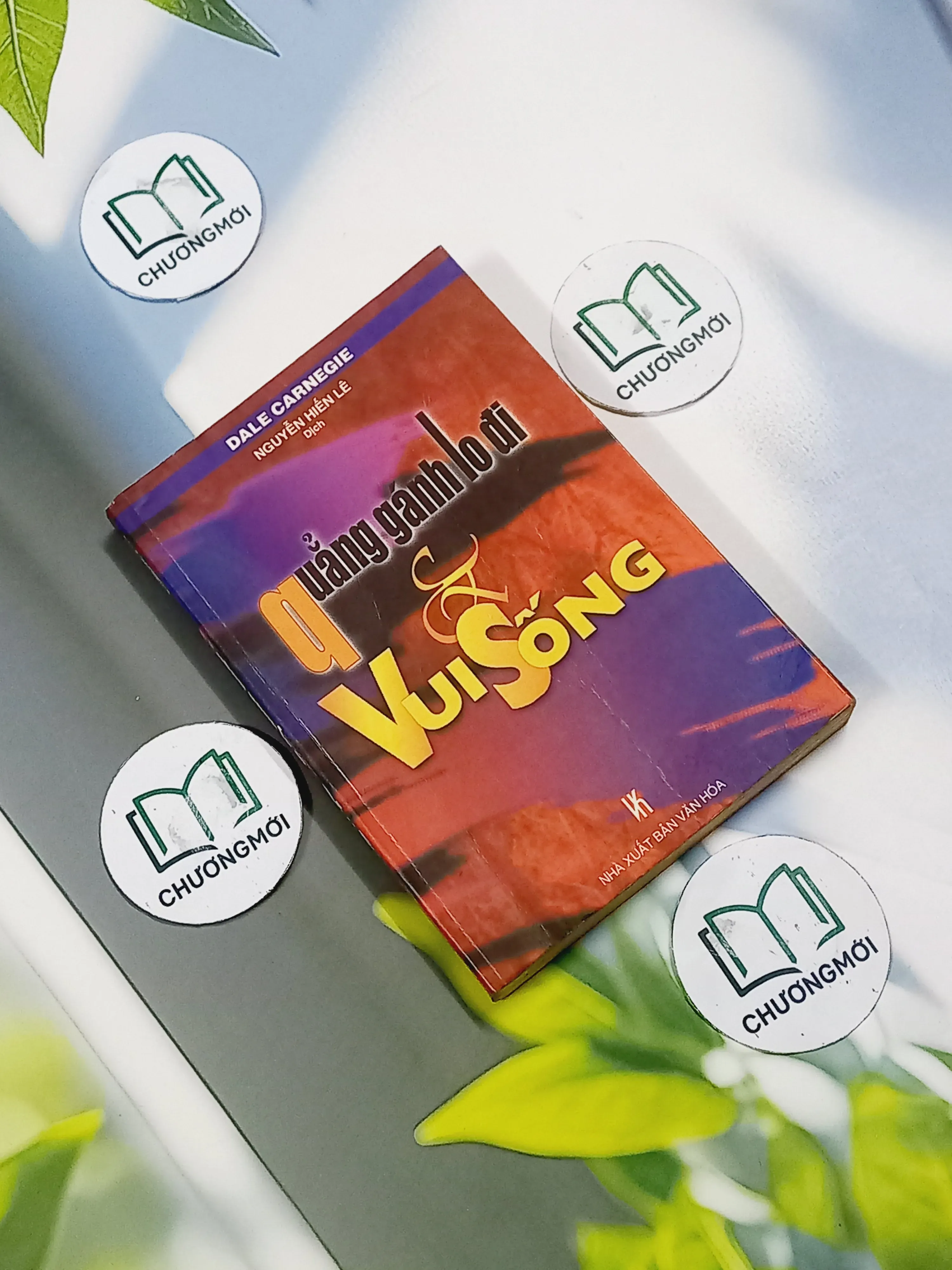 Quẳng Gánh Lo Đi Và Vui Sống