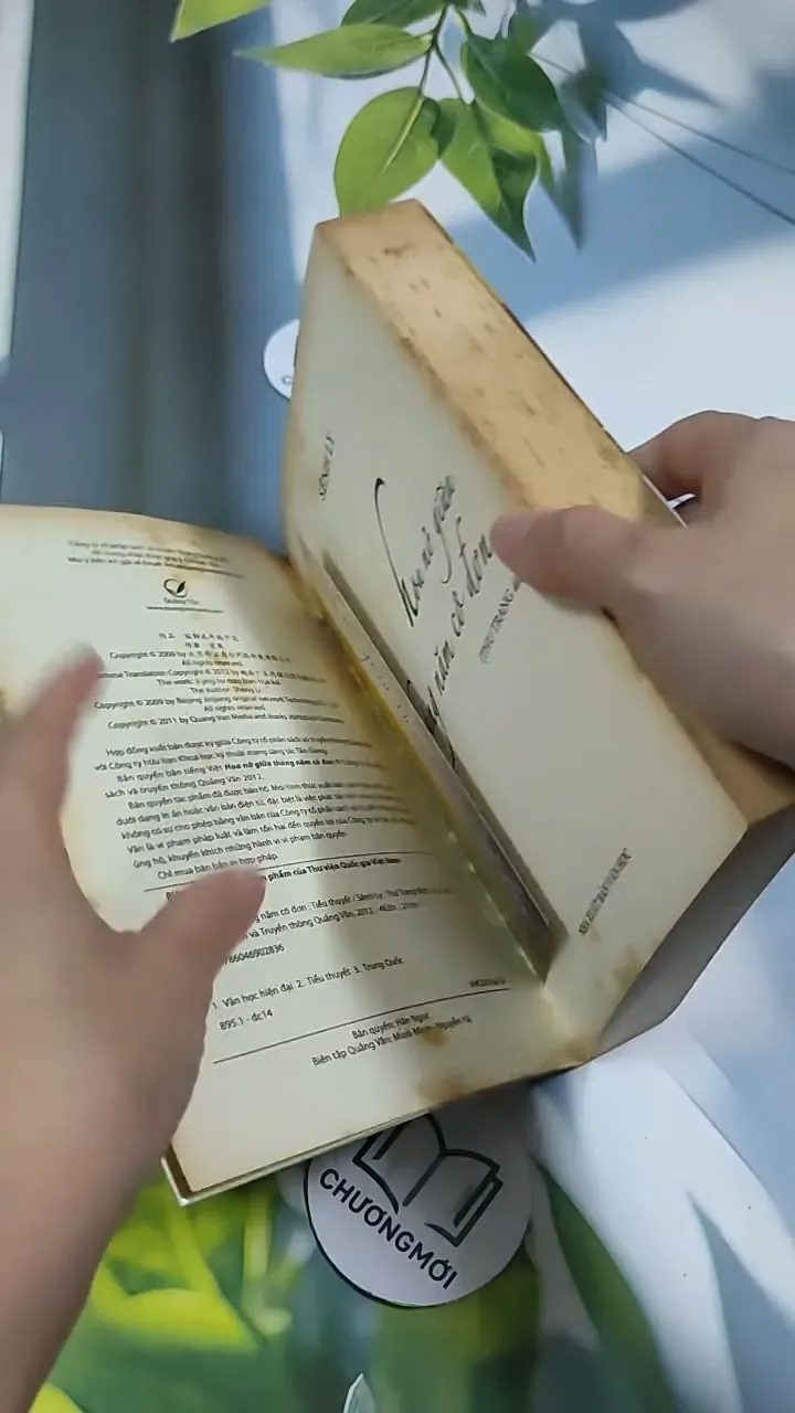 Hoa Nở Giữa Tháng Năm Cô Đơn - Sênh Lý 705743