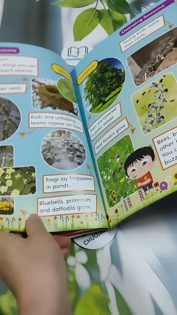 Science Bug Pupil Book Year 159 713904