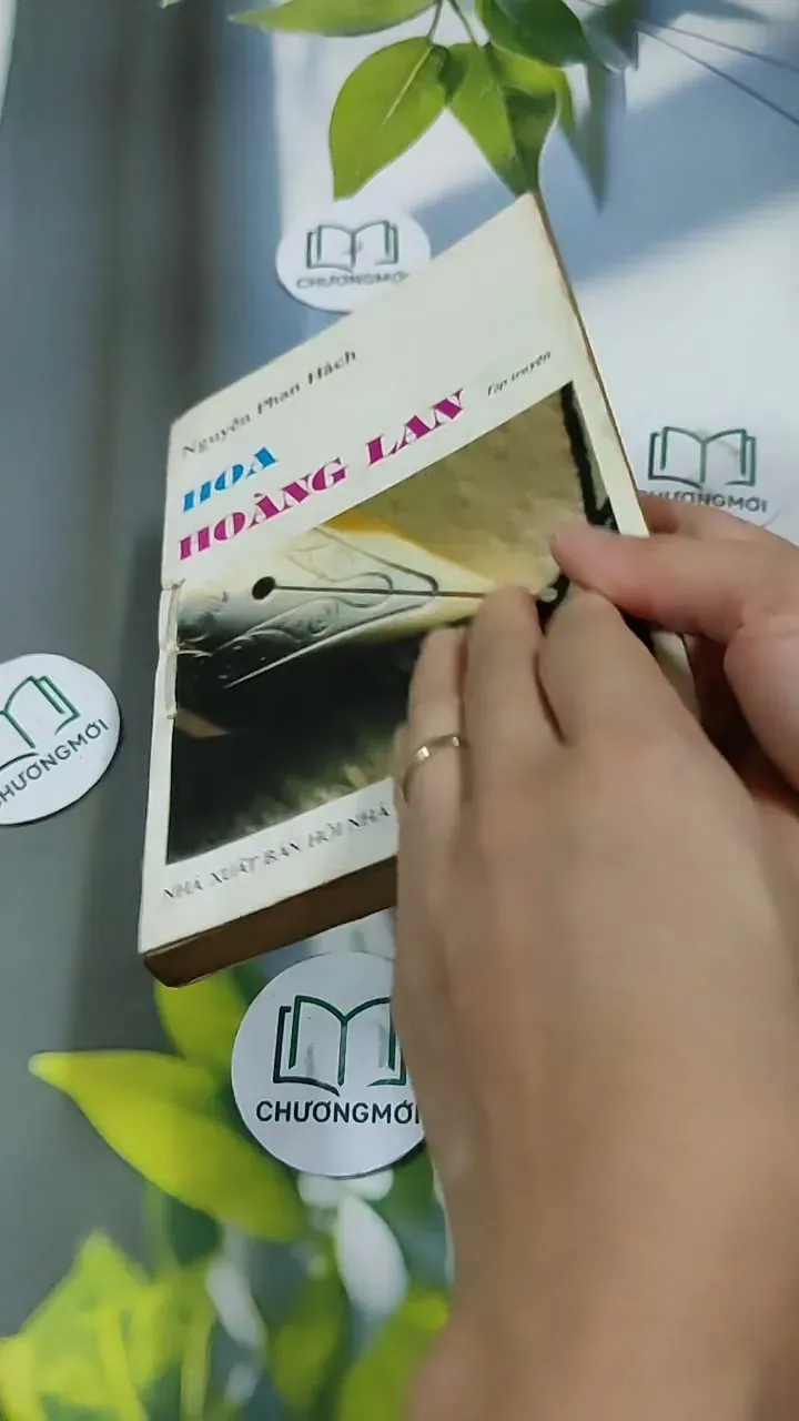 Hoa Hoàng Lan - Nguyễn Phan Hách 713866