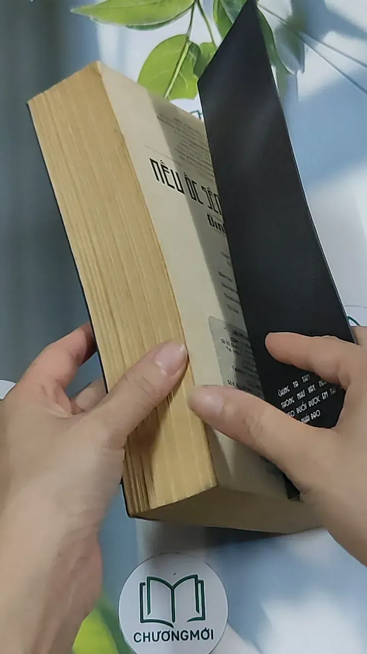 Nếu ốc sên có tình yêu - Đinh Mặc 688711