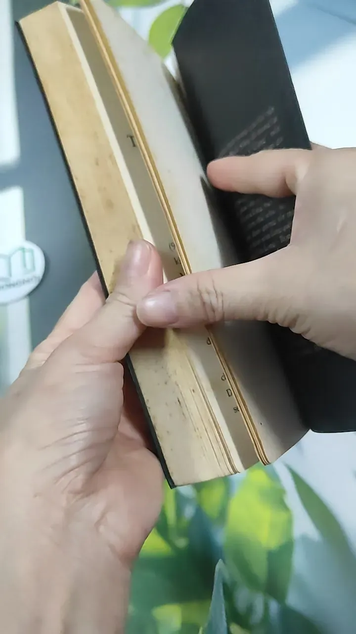 Cà Phê Cùng Tony - Tony Buổi Sáng 787081