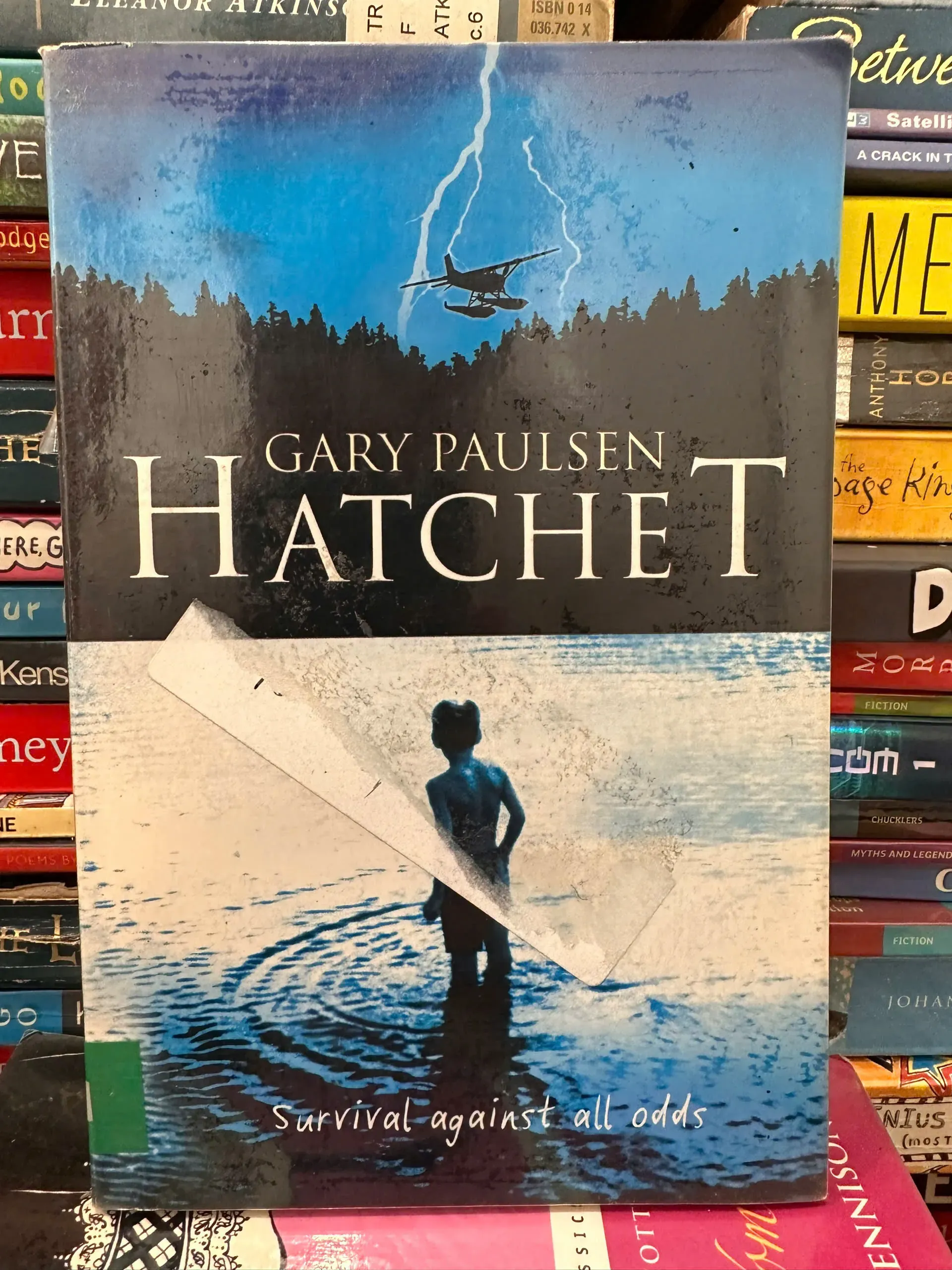 Hatchet by Gary Paulsen