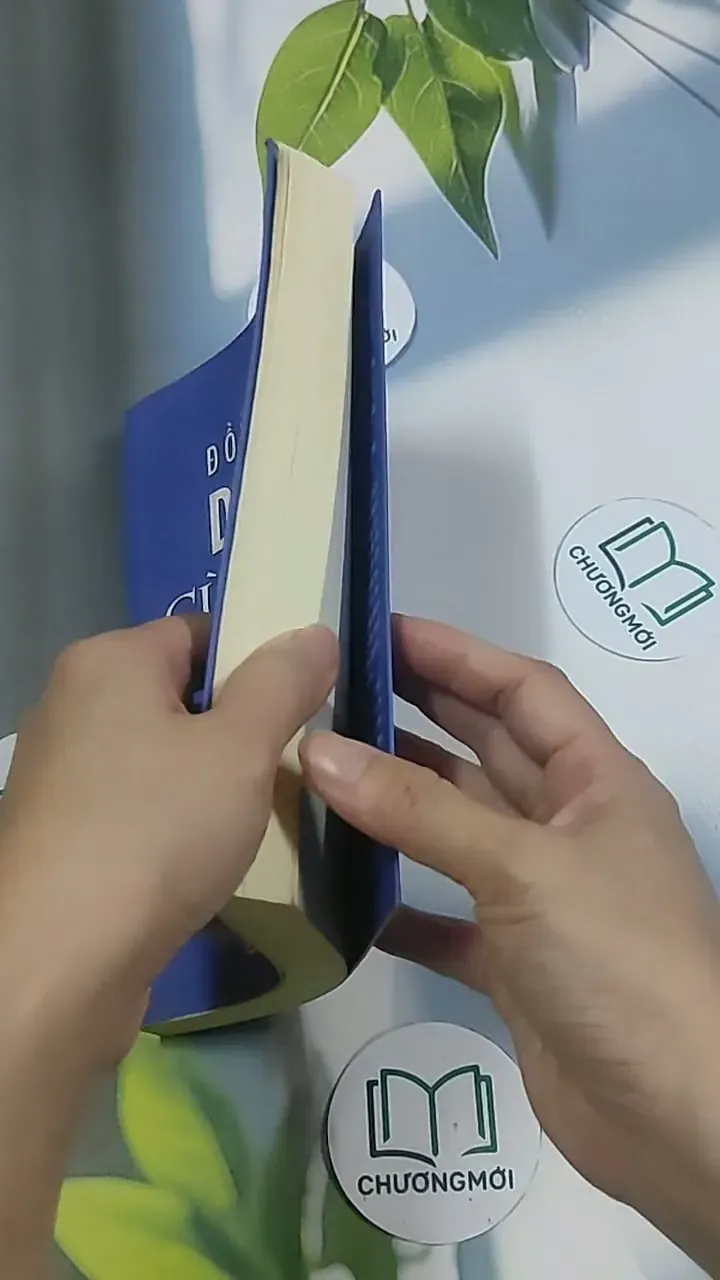 Đồng hành du học cùng con - Nguyễn Thị Bích Hậu 694950