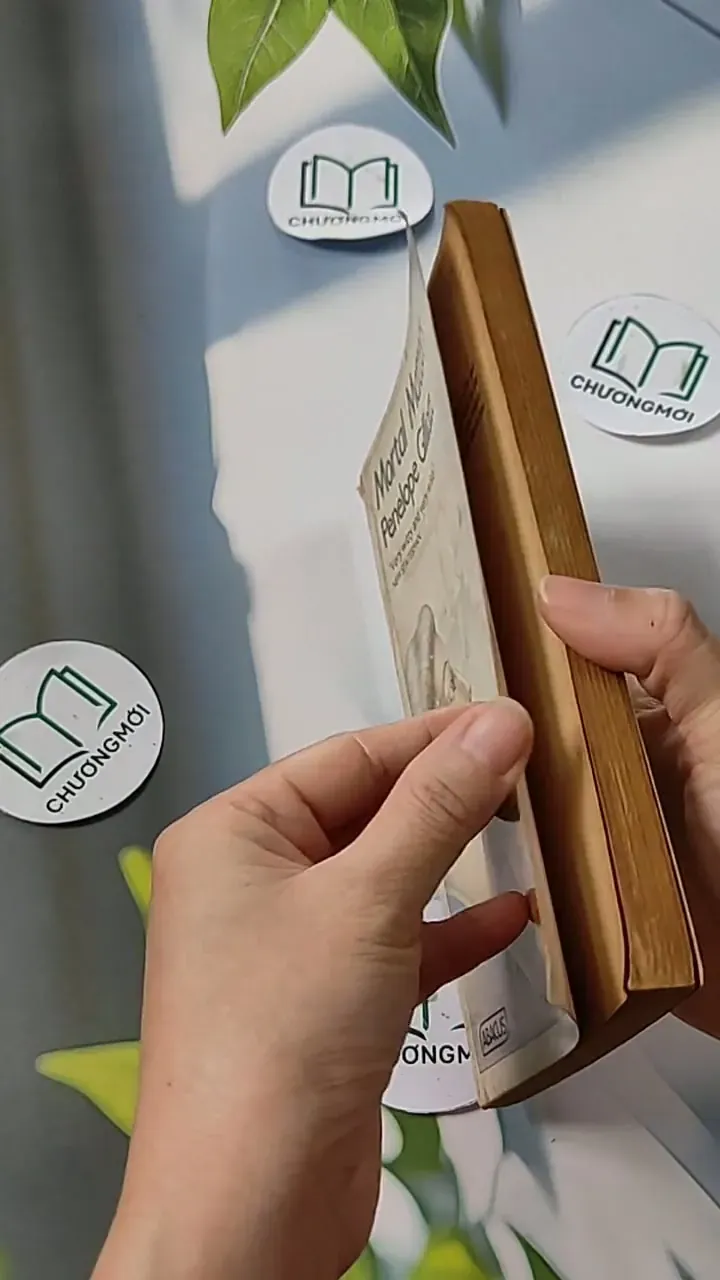 [MIỄN PHÍ BỌC SÁCH] Mortal Matters - Penelope Gilliatt 703095