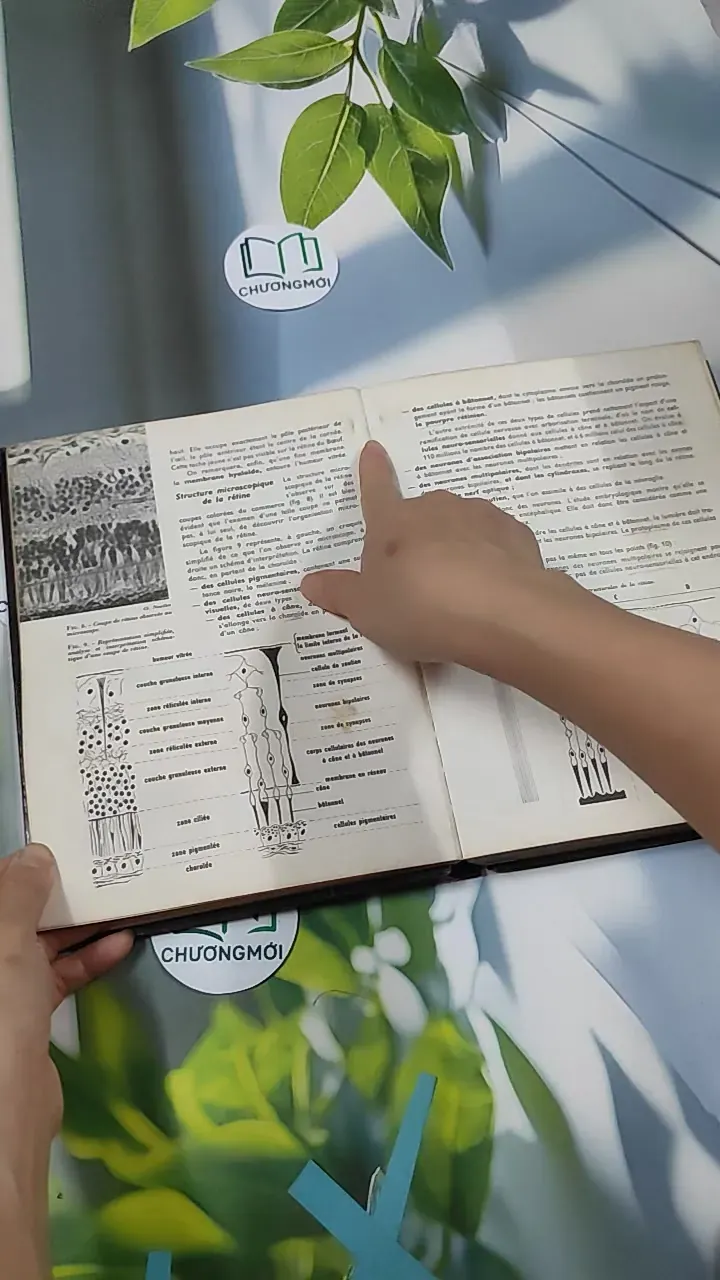 [MIỄN PHÍ BỌC SÁCH] Sciences Naturelles: Terminale D - Charles Désire 751224