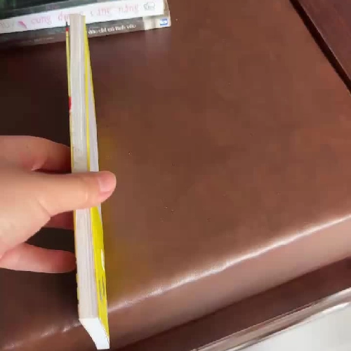 CÁO GIÀ, GÁI GIÀ VÀ TIỂU THUYẾT ĐIỂM TÌNH – DƯƠNG THỤY (SÁCH CŨ GIÁ TỐT) - K3