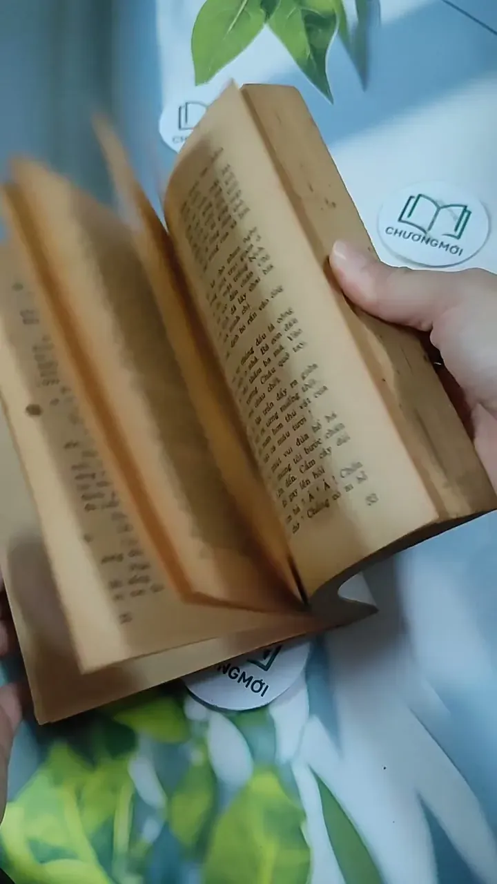 [MIỄN PHÍ BỌC SÁCH] Trọn Bộ Đối Mặt 713838