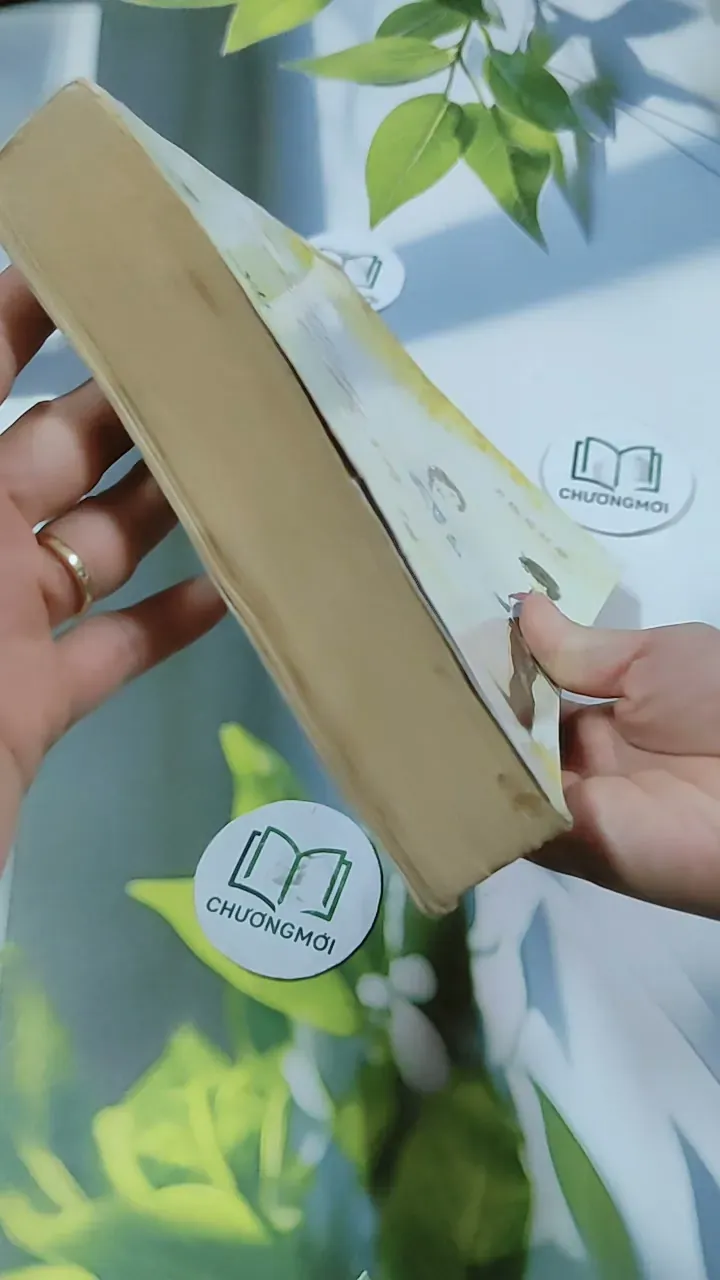 Chỉ Được Yêu Mình Anh - Nam Lăng 744764