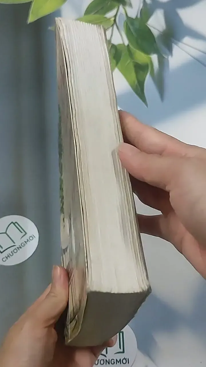 Chờ một ngày nắng - Điệp Chi Linh 694938