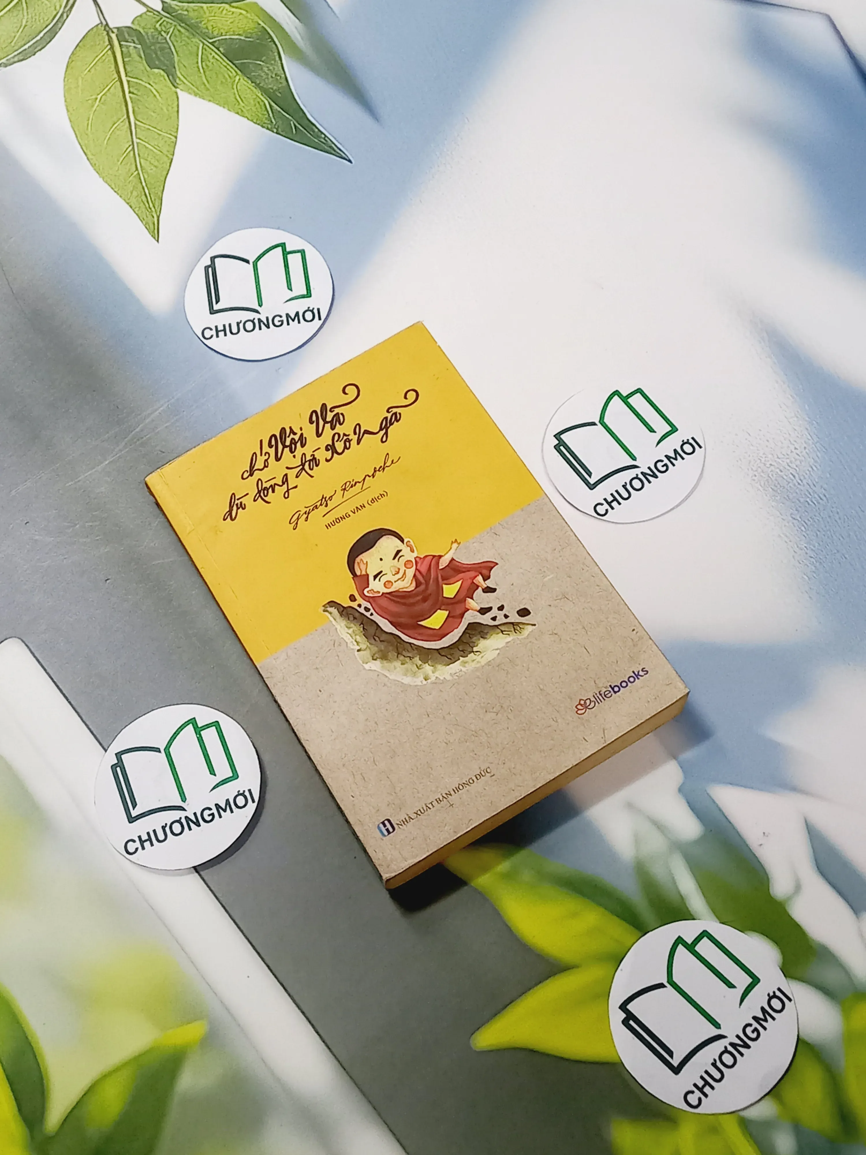 Chớ Vội Vã Dù Dòng Đời Xô Ngã - Gyatso Rinpoche