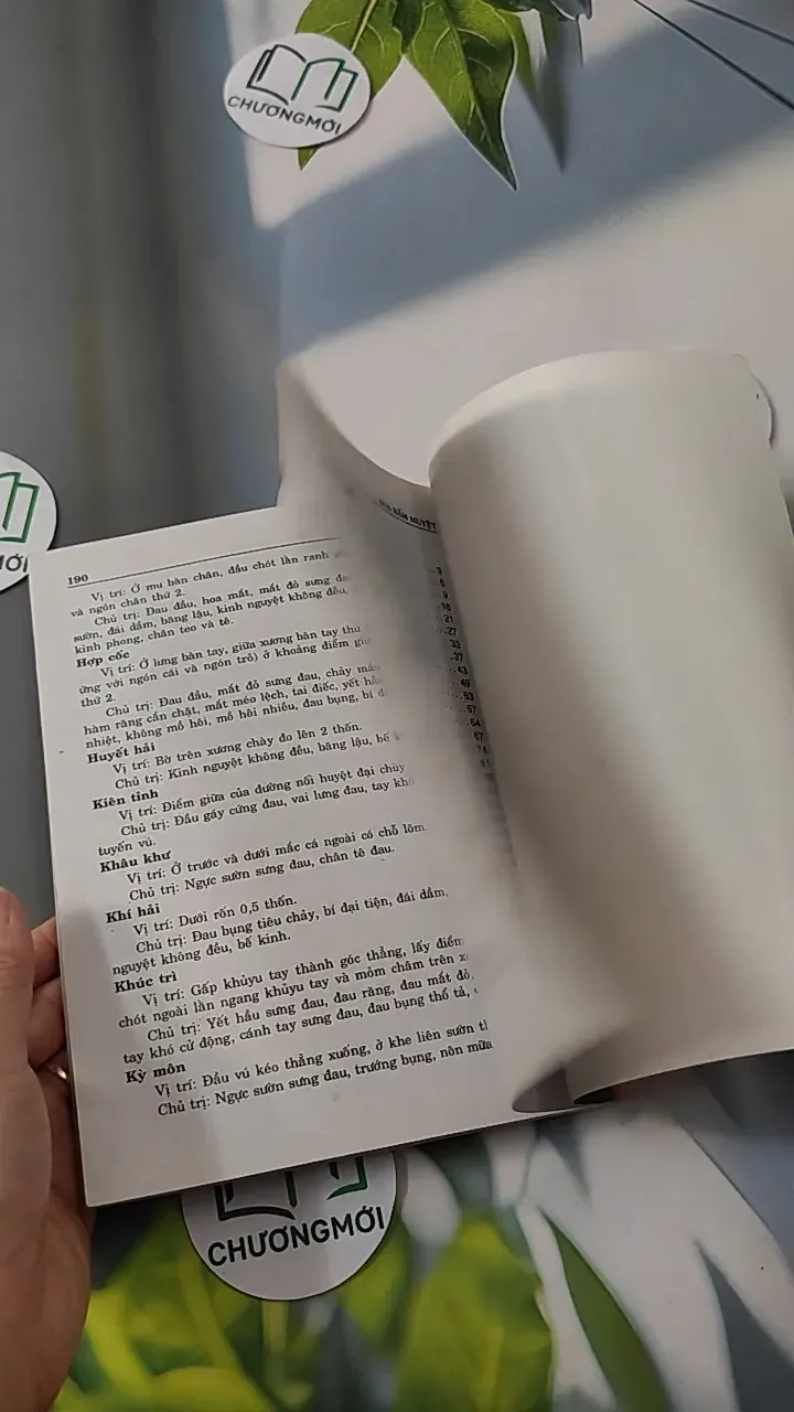 Xoa - Bấm Huyệt - Kỷ Anh & Định Công Bảy 780808