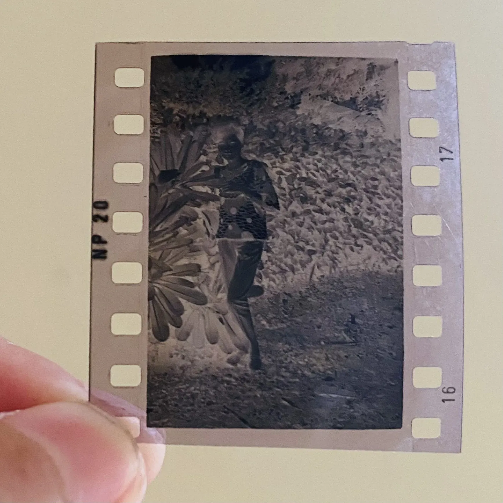 Lô ảnh và giấy tờ xưa  994831