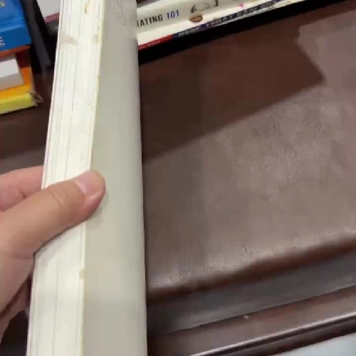 SỔ MINH HỌA SEN ĐÁ – NOTES OF SUCCULENTS (MORI GIRL’S ART LIFE) - K3