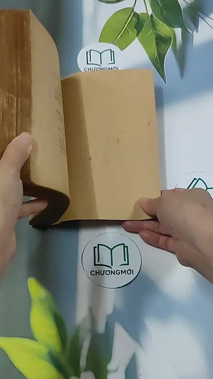 Nhận Thức và Thẩm Định (1983) - Đông Hoài 674969