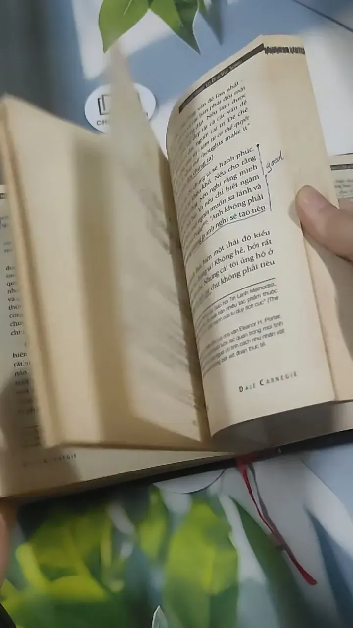 Quẳng Gánh Lo Đi & Vui Sống - Dale Carnegie 715576