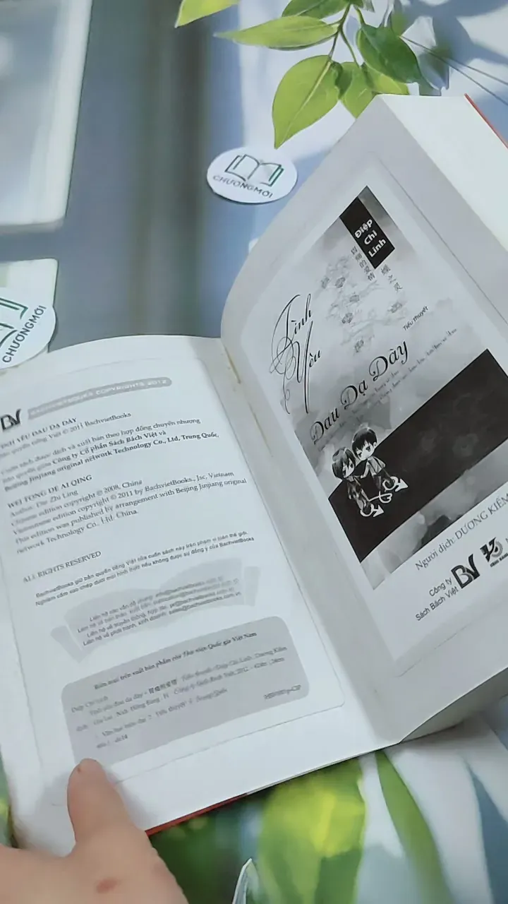 Tình Yêu Đau Dạ Dày - Điệp Chi Linh 744771