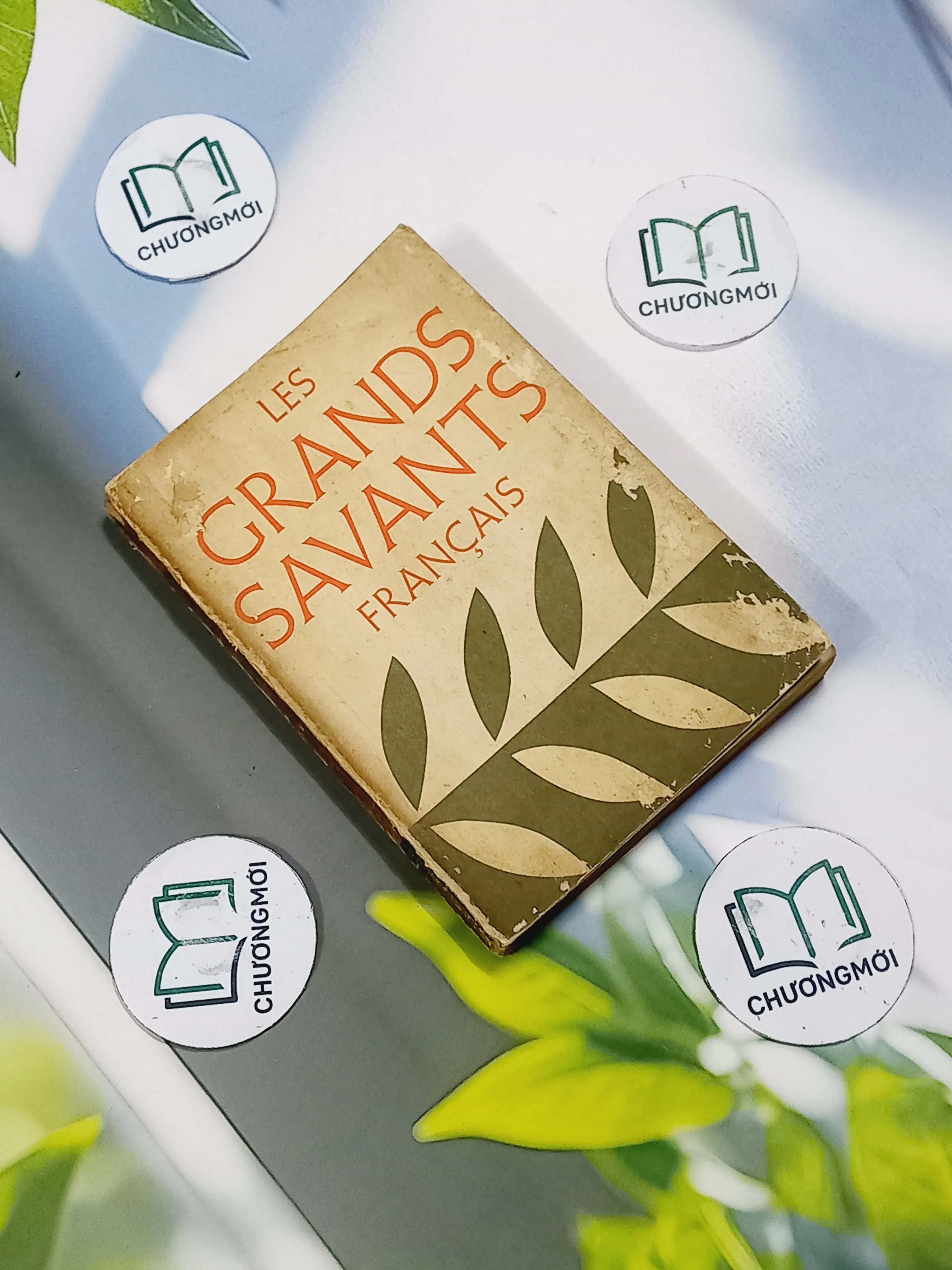 [MIỄN PHÍ BỌC SÁCH] Les Grands Savants Français - PhD. Louis Furman Sas