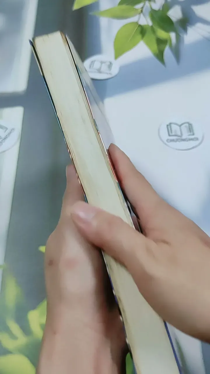 Tín Đồ Shopping Có Baby - Sophie Kinsella 744778