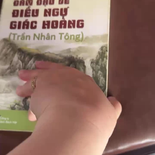 ĐÀY ĐỌA VỀ DIỆU NGỘ GIÁC HOÀNG (TRẦN NHÂN TÔNG) – BÙI ANH TẤN 976019