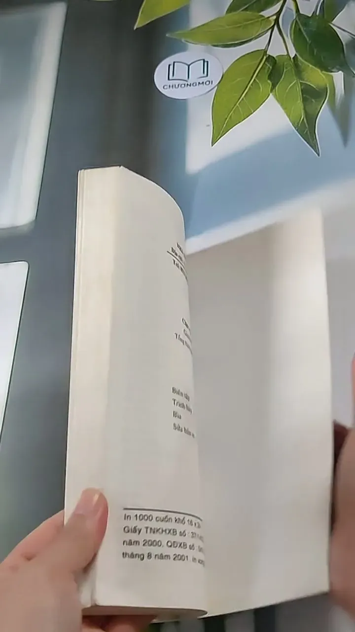 Nghệ Thuật Xếp Giấy Nhật Bản Origami 607707