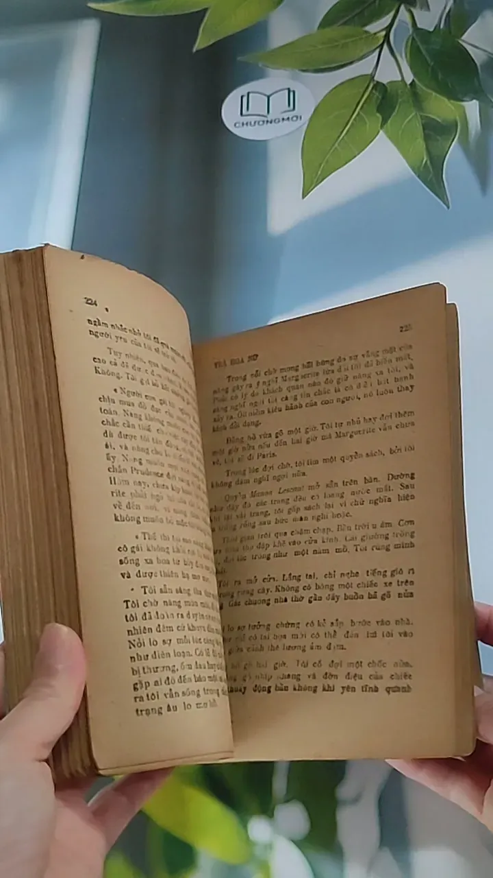 Trà hoa nữ (1987) - Alexander Dumas con 607733