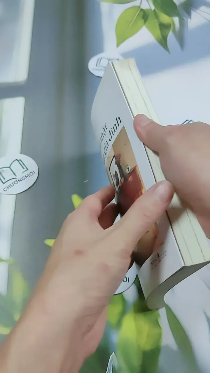 Hai Mặt Của Gia Đình - Choi Kwanghyun 744719