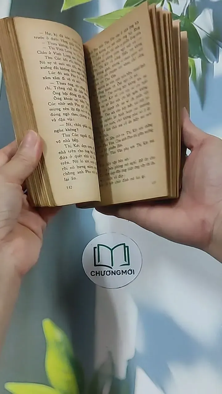 Chút Phận Linh Đinh (1996) - Hồ Biểu Chánh 674979