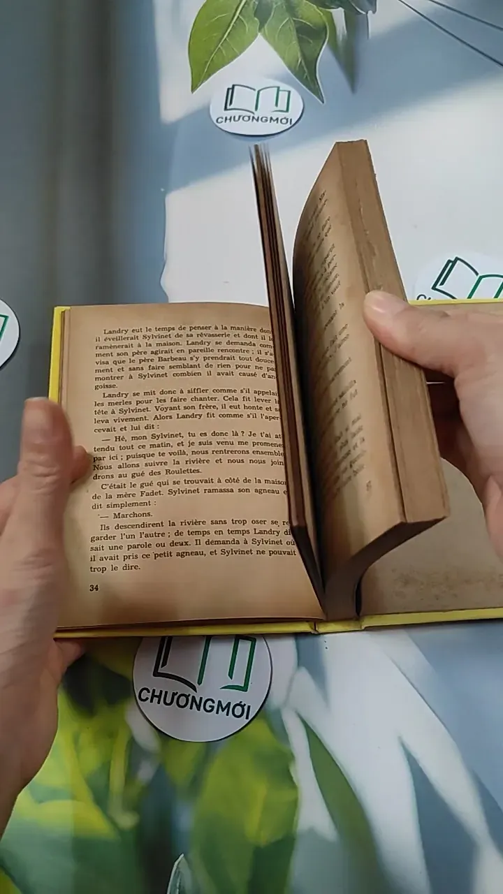 [MIỄN PHÍ BỌC SÁCH] La Petite Fadette - George Sand 749583