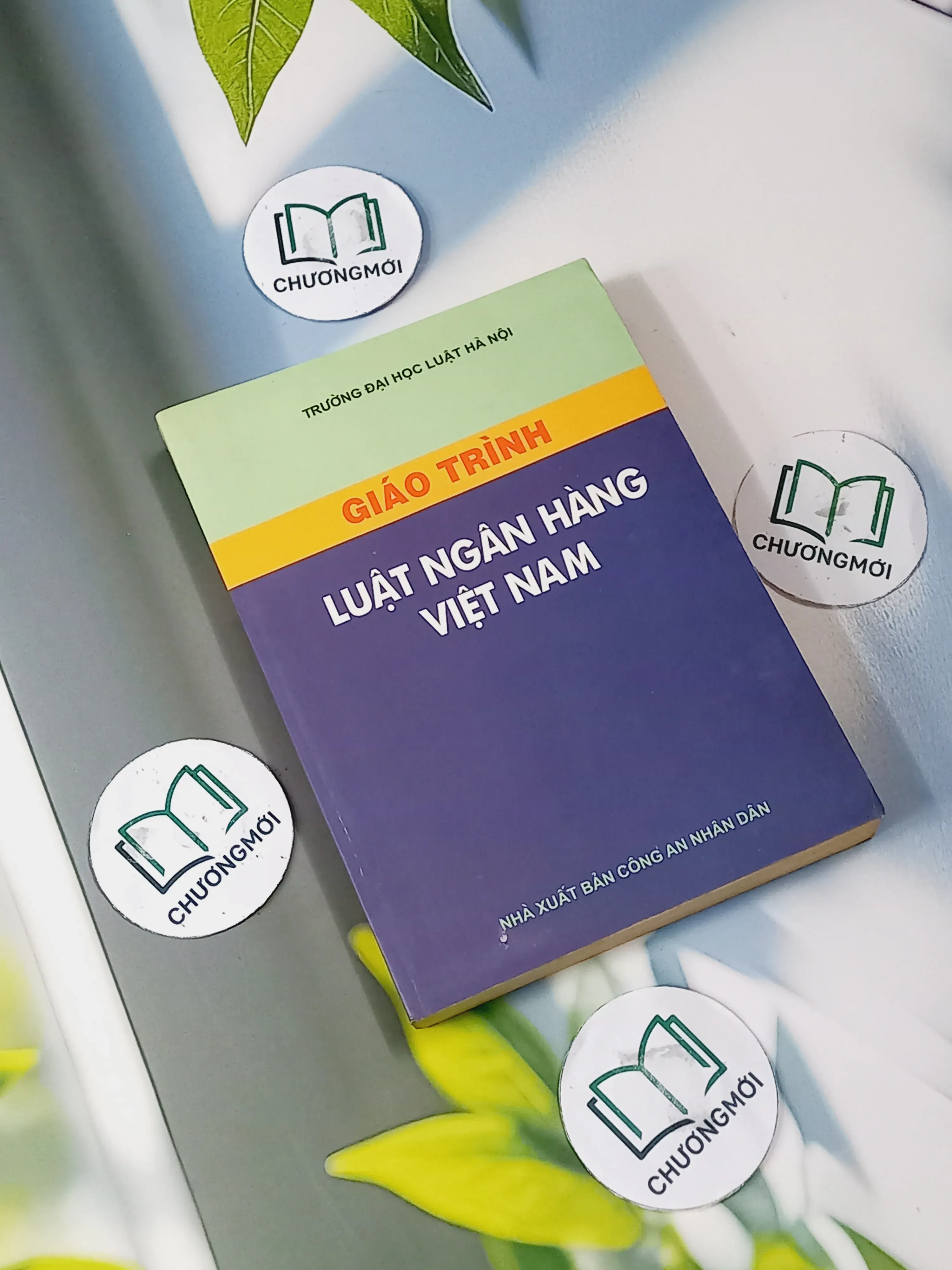 Giáo Trình Luật Ngân Hàng Việt Nam