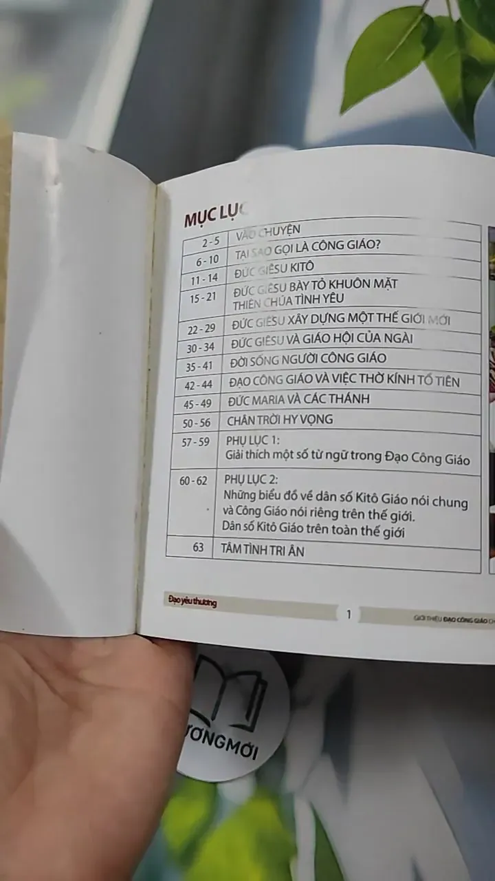 Combo: Kinh Thánh Thật Sự Dạy Gì, Đạo Yêu Thương 727295