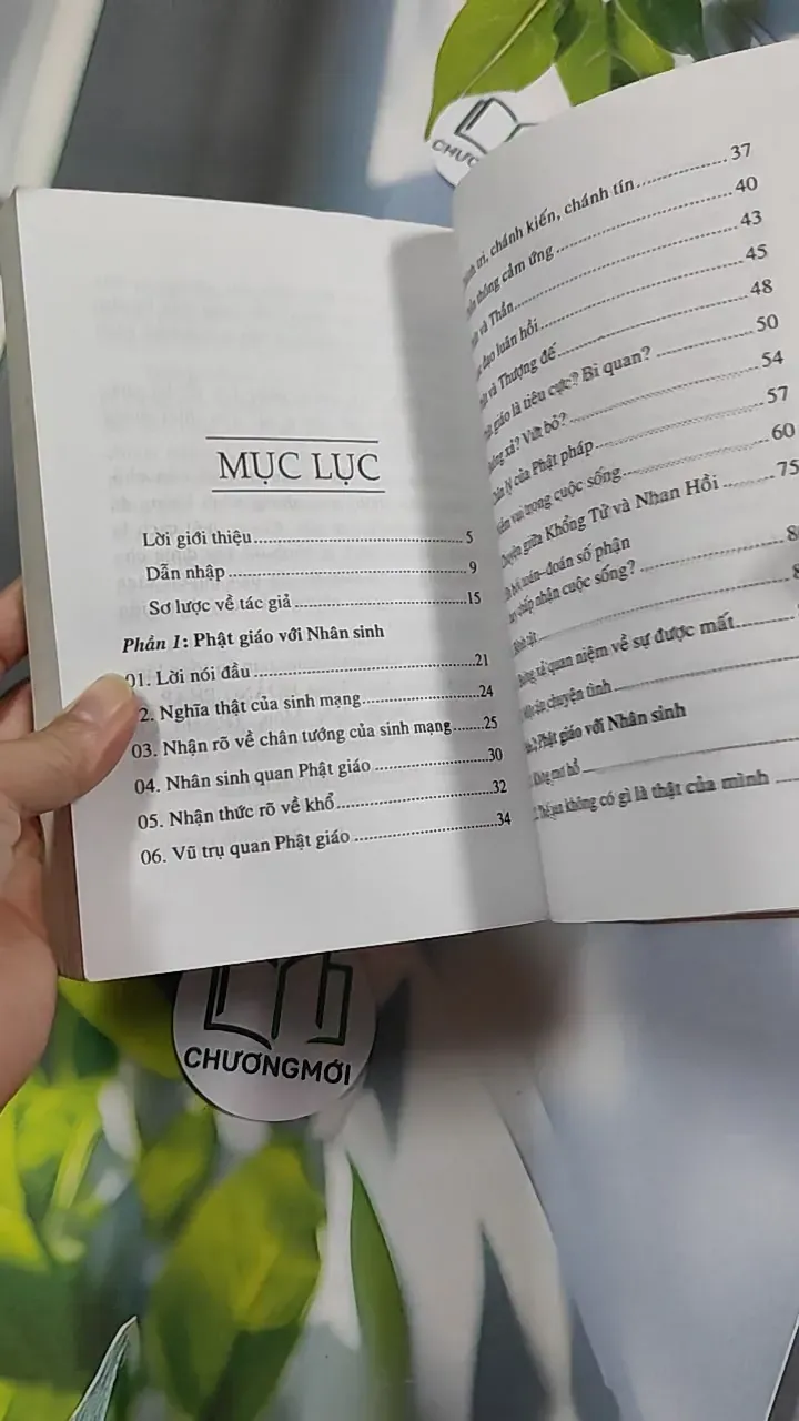 Phật Giáo Với Nhân Sinh - Pháp Sư Tuệ Luật 776151
