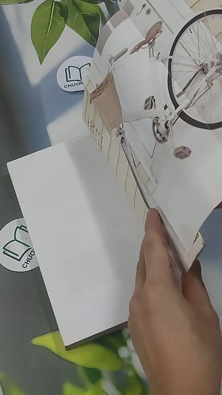 Sorry Sorry - Kim Quốc Đống 705548