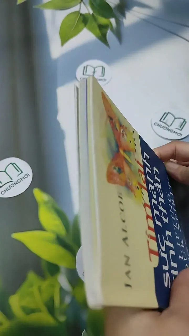 Tìm Lại Sức Mạnh Tinh Thần - Jan Alcoe 707281