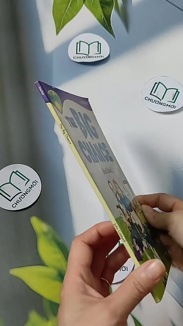 Oxford Reading Tree - Stage 11: TreeTops More Stories A: The Big Chance 703070