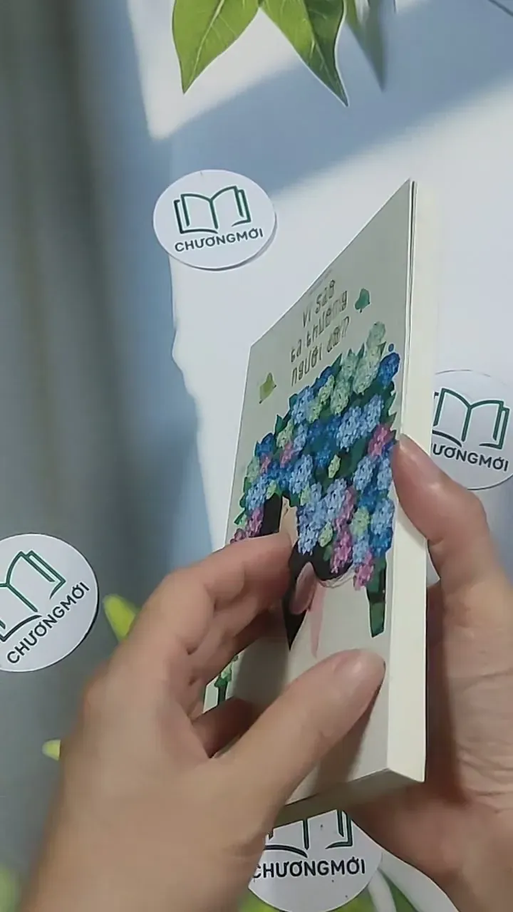 Vì sao ta thương người đó - Huy Hải 694987