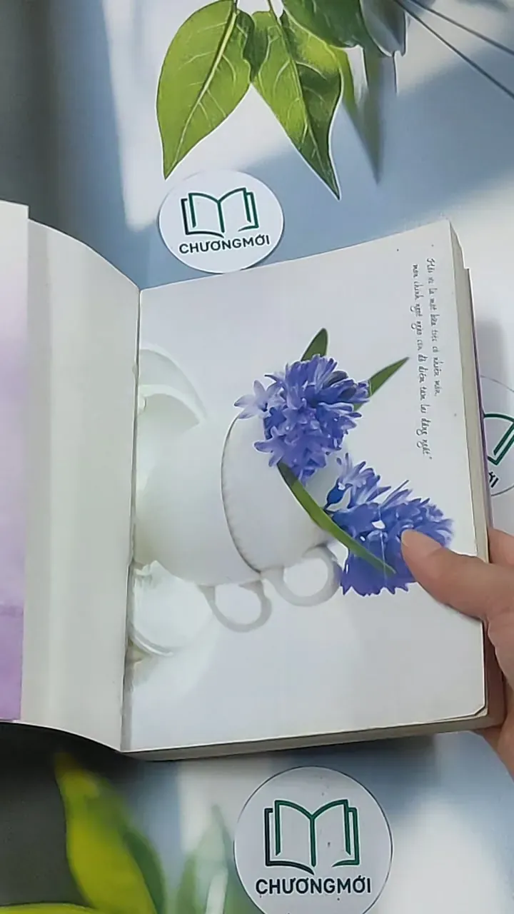 Yêu anh là ước nguyện cả đời không hối tiếc - Trúc Tâm Túy 688692