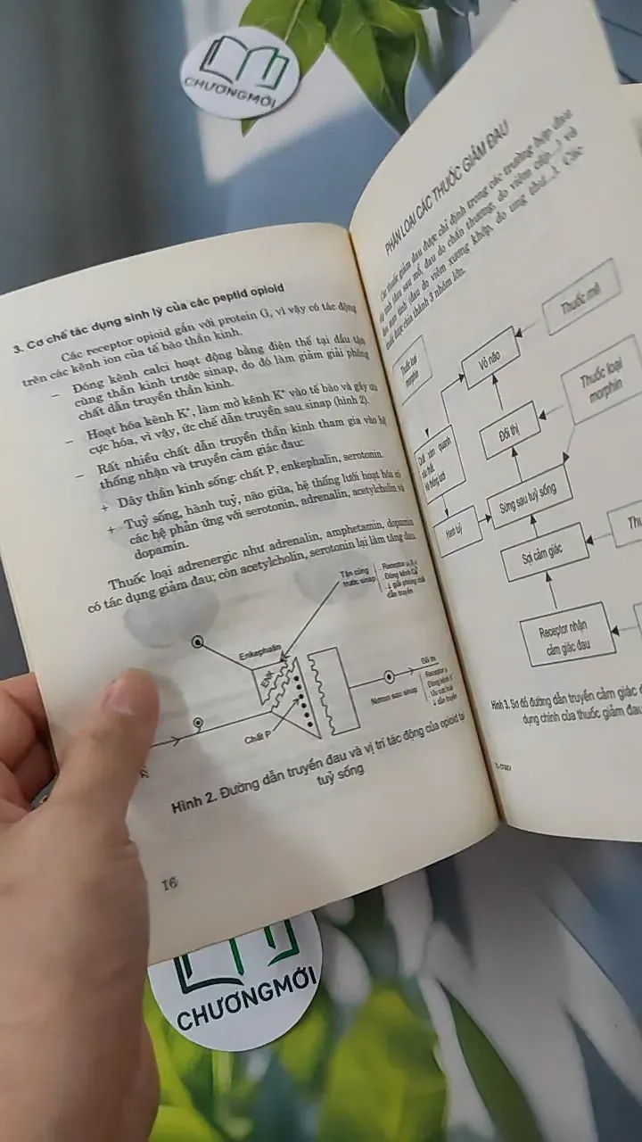 Các Thuốc Giảm Đau - Chống Viêm - PGS. TS. Đào Văn Phan 780807