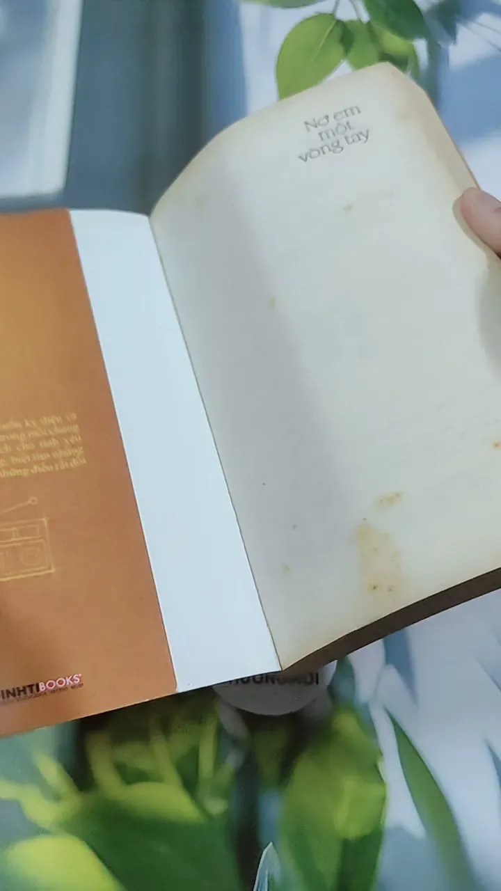 Nợ Em Một Vòng Tay 744713