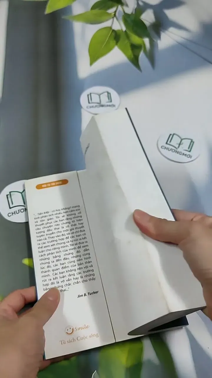 Tiền Kiếp - Có Hay Không? 705673