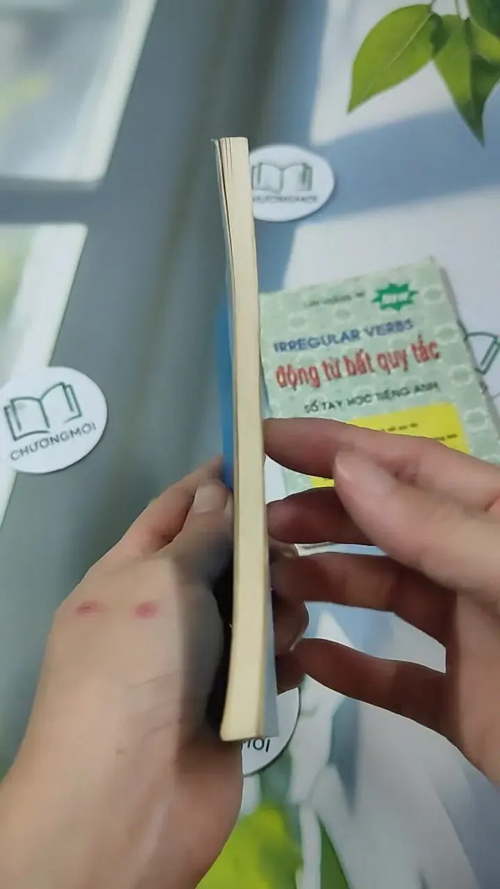 Combo Sổ Tay: Chính Tả Văn Phạm Tiếng Anh, Động Từ Bất Quy Tắc (Sách Bỏ Túi) 727303