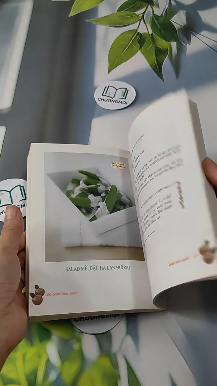 Salad Thon Người - Salad & Những Thực Phẩm Ăn Không Sợ Mập - Vũ Mai Ly & Nguyễn Xuân Quy 727252