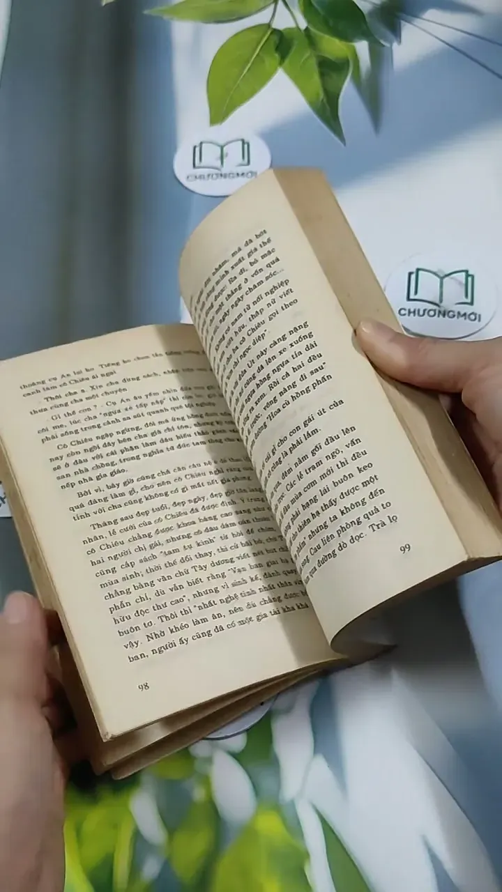 Hoa Hoàng Lan - Nguyễn Phan Hách 713866