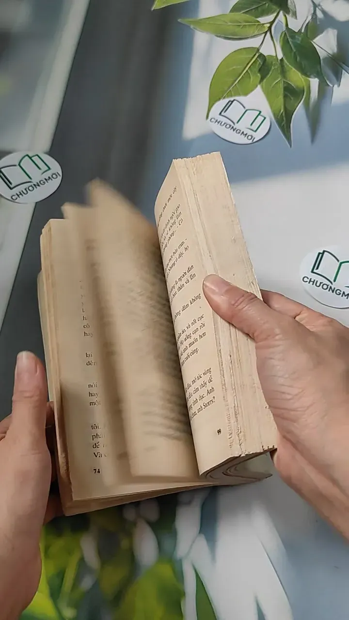 [XƯA] Đỉnh Đồi (1994) - Irwin Shaw 776066