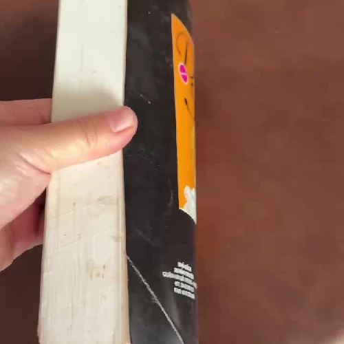 Mất Tích (Vanished)