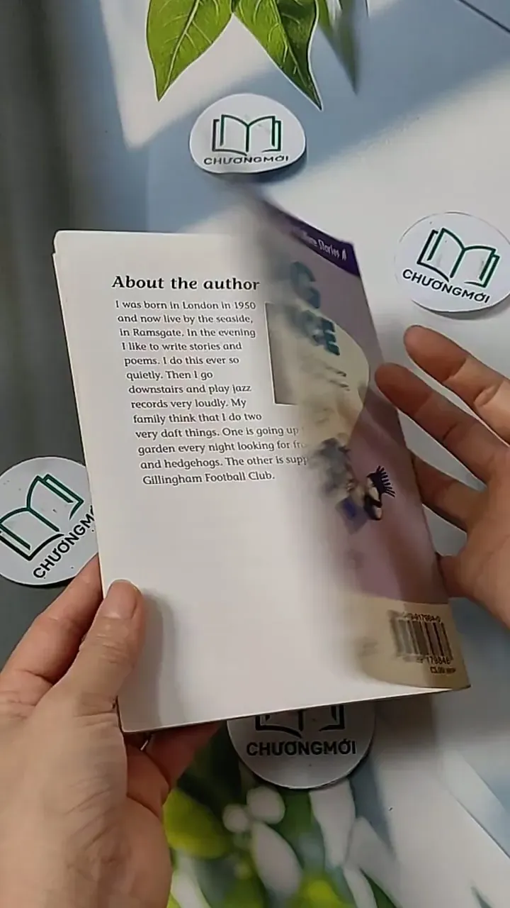 Oxford Reading Tree - Stage 11: TreeTops More Stories A: The Big Chance 703070