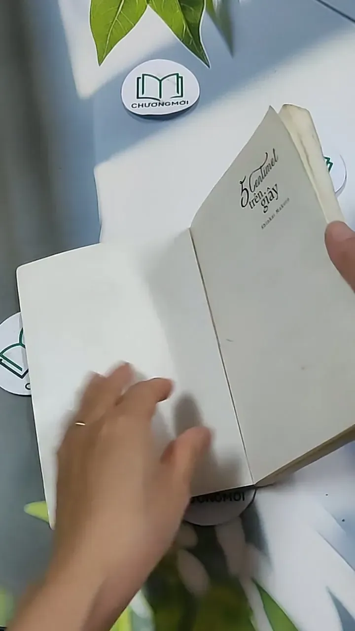 5 Centimet Trên Giây 703127